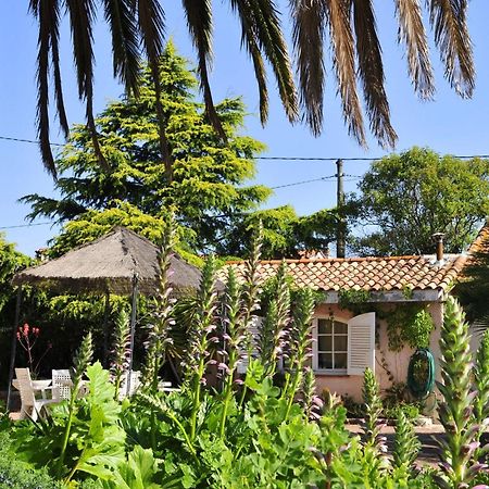 Village Vacances Le Kangourou By Popinns Fréjus Buitenkant foto