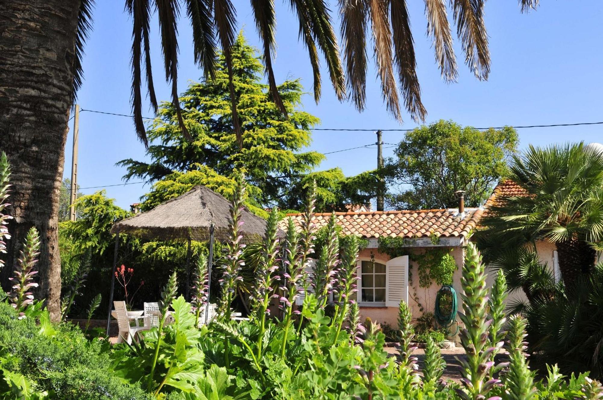 Village Vacances Le Kangourou By Popinns Fréjus Buitenkant foto