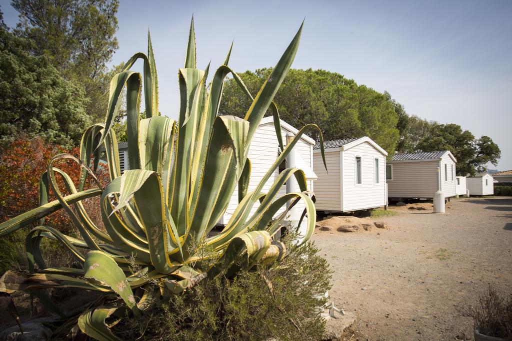 Village Vacances Le Kangourou By Popinns Fréjus Buitenkant foto